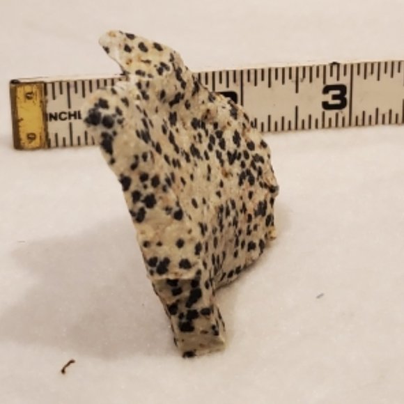 Natural Raw Dalmatian Jasper Gemstone #1 Stone - Picture 4 of 8